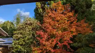雲龍院(京都府)