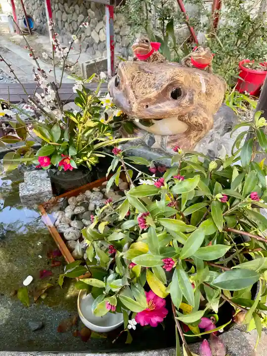 末廣神社(京都府)