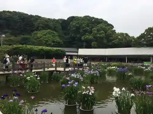 太宰府天満宮の庭園