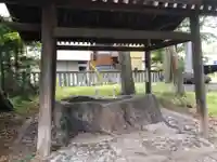 皇足穂吉田大御神宮の手水舎