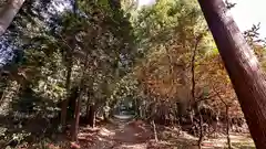 愛宕神社(滋賀県)