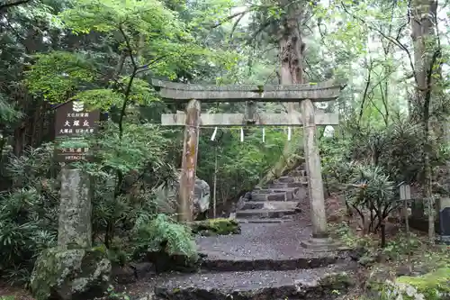 北口本宮冨士浅間神社の鳥居