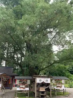 都農神社のその他建物
