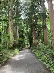 戸隠神社奥社(長野県)