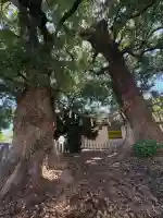 新庄之宮神社(広島県)