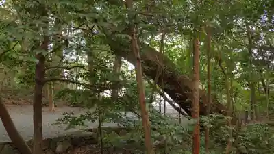 伊雜宮（皇大神宮別宮）(三重県)