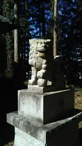 鷹房神社の狛犬