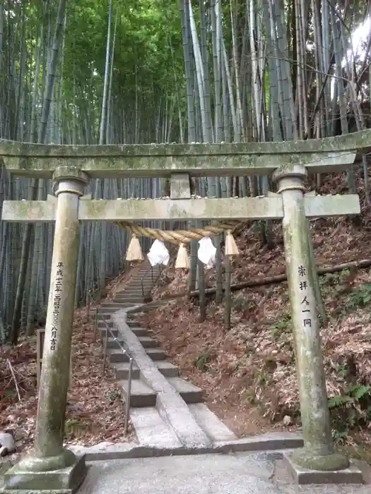 神龍八大龍王神社の鳥居