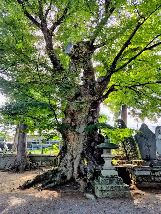 中尾神社(山梨県)