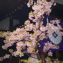 東京大神宮(東京都)