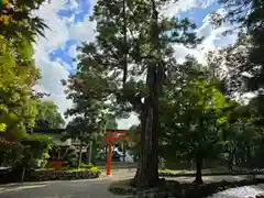 賀茂別雷神社（上賀茂神社）(京都府)