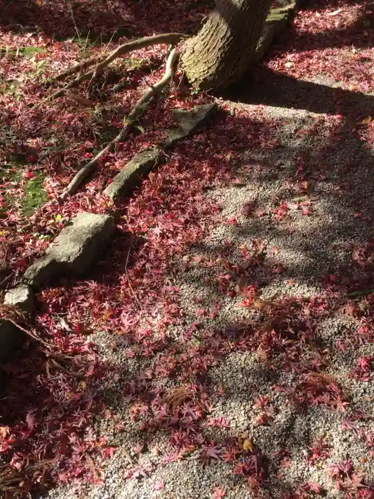 飯野高宮神山神社の自然