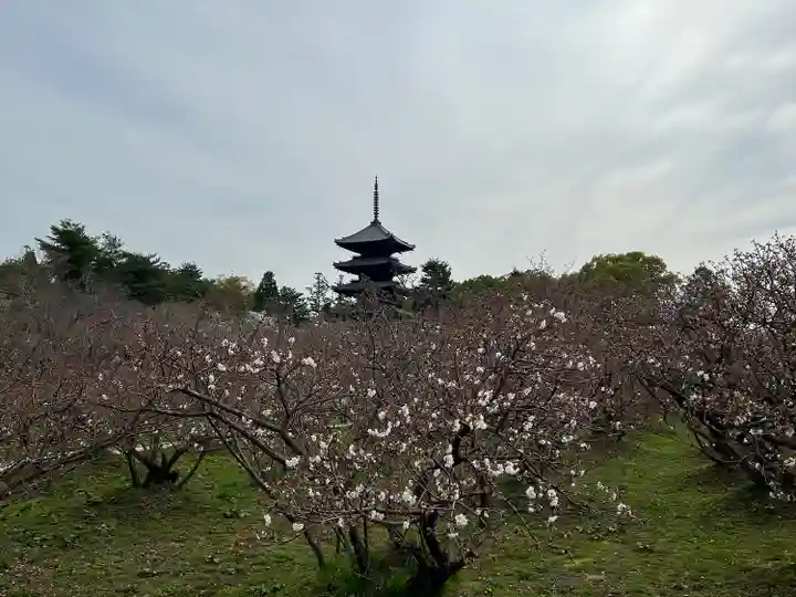 仁和寺(京都府)