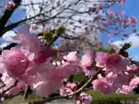 滑川神社 - 仕事と子どもの守り神の自然