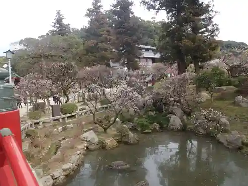 太宰府天満宮の庭園