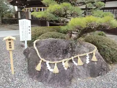 砥鹿神社(里宮)の自然