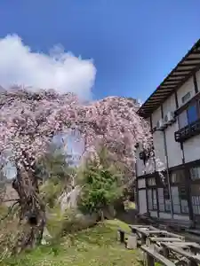 木幡山隠津島神社(二本松市)の庭園(2020年04月14日(火) 23時20分10秒投稿)