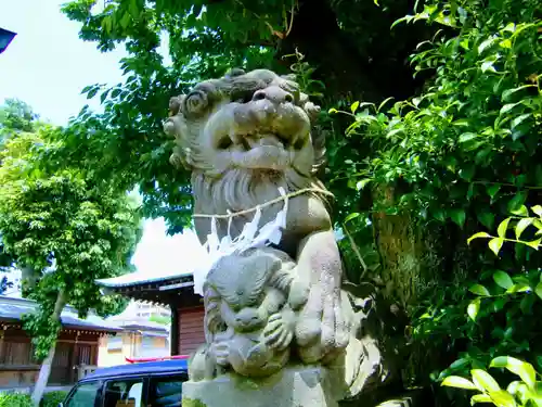 鳩ヶ谷氷川神社の狛犬