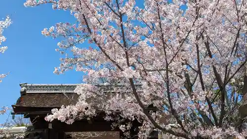 仁和寺(京都府)