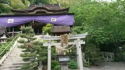 竹生島神社(都久夫須麻神社)の本殿・本堂