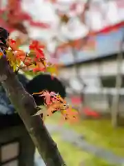 志波彦神社・鹽竈神社の自然