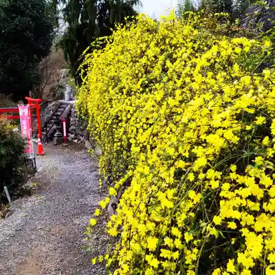 差出磯大嶽山神社 仕事と健康と厄よけの神さま(山梨県)