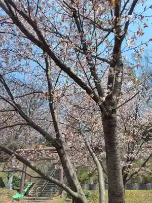 厚別神社(北海道)