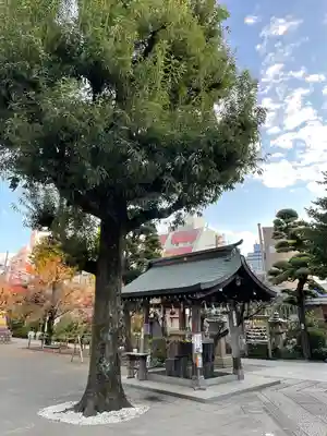 鳩森八幡神社の手水舎