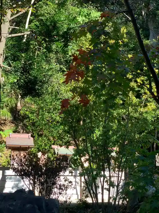 師岡熊野神社の自然
