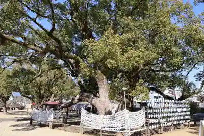 諫早神社（九州総守護  四面宮）(長崎県)