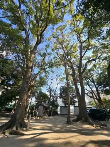 蔵人素盞嗚神社の{uncategorized: "未分類", other: "その他", undefined: "問題あり", building: "その他建物", grave: "お墓", sacred_gate: "鳥居", guardian: "狛犬", statue: "像", buddha: "仏像", history: "歴史", nature: "自然", garden: "庭園", animal: "動物", pagoda: "塔", temizu: "手水舎", mountain_gate: "山門・神門", sanctuary: "本殿・本堂", subordinate: "末社・摂社", art: "芸術", scenery: "景色", jizo: "地蔵", ema: "絵馬", goshuin: "御朱印", omikuji: "おみくじ", items: "授与品その他", amulet: "お守り", goshuincho: "御朱印帳", eats: "食事", festival: "お祭り", votive_dance: "神楽", shichigosan: "七五三参", wedding: "結婚式", experience: "体験その他", initially: "初詣", around: "周辺", anti_infection: "感染症対策"}
