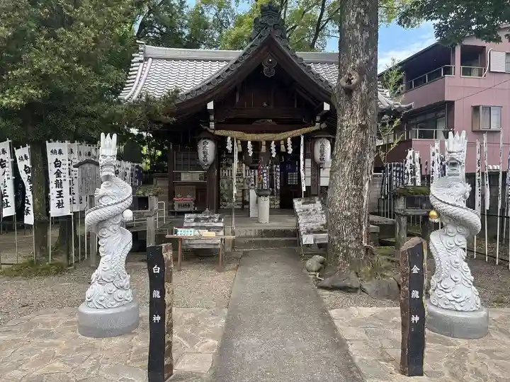 白金龍王社(愛知県)