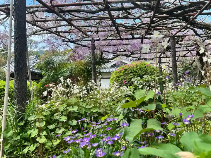 子安地蔵寺の{uncategorized: "未分類", other: "その他", undefined: "問題あり", building: "その他建物", grave: "お墓", sacred_gate: "鳥居", guardian: "狛犬", statue: "像", buddha: "仏像", history: "歴史", nature: "自然", garden: "庭園", animal: "動物", pagoda: "塔", temizu: "手水舎", mountain_gate: "山門・神門", sanctuary: "本殿・本堂", subordinate: "末社・摂社", art: "芸術", scenery: "景色", jizo: "地蔵", ema: "絵馬", goshuin: "御朱印", omikuji: "おみくじ", items: "授与品その他", amulet: "お守り", goshuincho: "御朱印帳", eats: "食事", festival: "お祭り", votive_dance: "神楽", shichigosan: "七五三参", wedding: "結婚式", experience: "体験その他", initially: "初詣", around: "周辺", anti_infection: "感染症対策"}