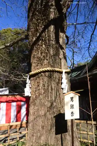 大宮八幡宮(東京都)