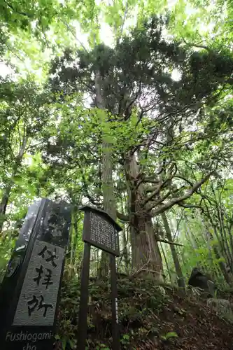 戸隠神社火之御子社のその他建物