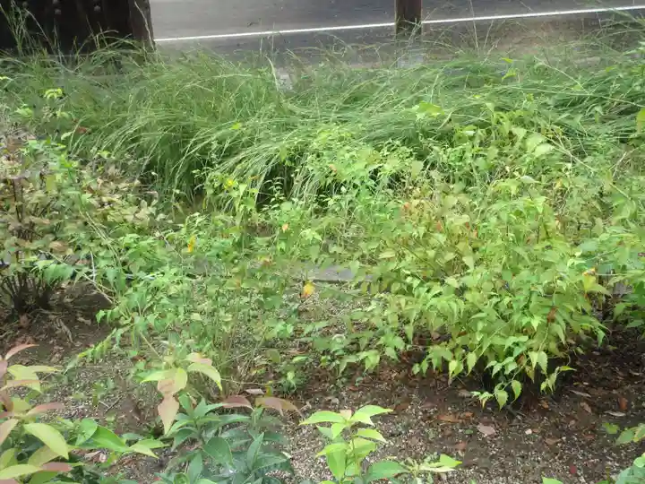 中宮寺(奈良県)