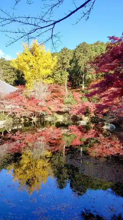 醍醐寺(京都府)