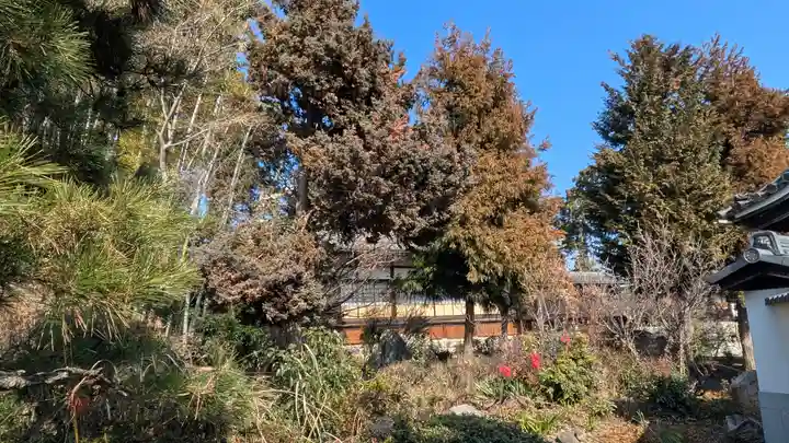 東漸禅寺(東漸寺)(滋賀県)