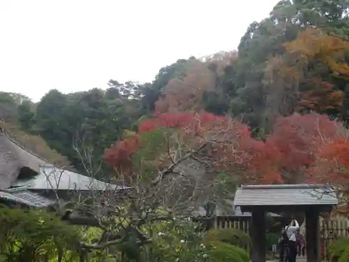 浄智寺の山門