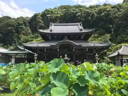 三室戸寺の本殿・本堂