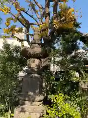 花光院(東京都)