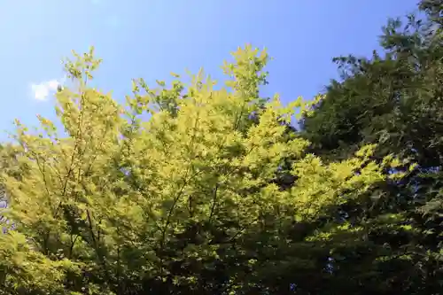 滑川神社 - 仕事と子どもの守り神の自然