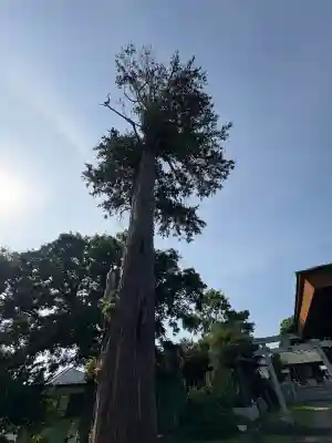 第六天神社(千葉県)