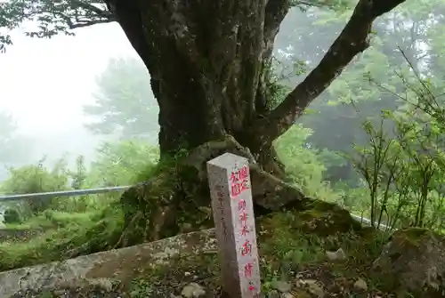大山阿夫利神社本社(神奈川県)