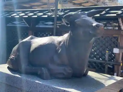 湯島天満宮の狛犬