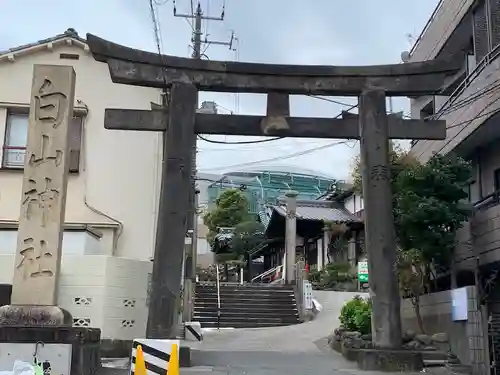 白山神社の鳥居