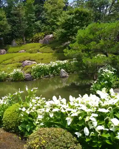 両足院(京都府)