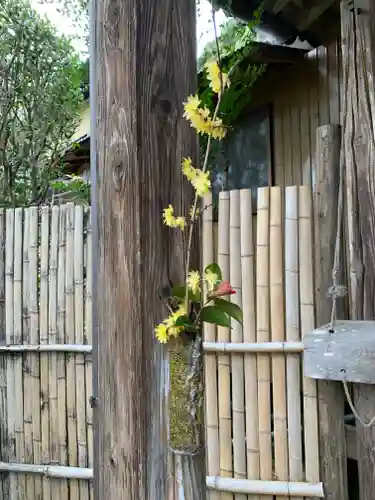 向上庵の景色