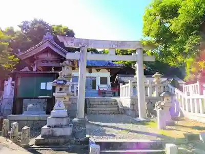板山神社の狛犬