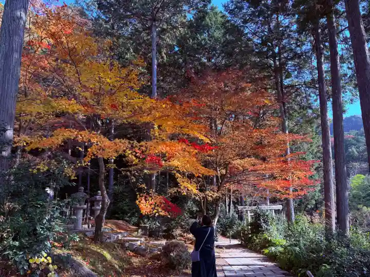 圓光寺(京都府)